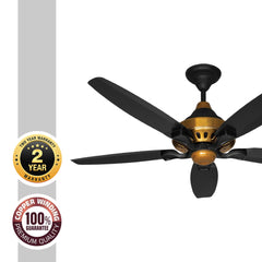 Pakhtun Penta 10 BLDC Inverter Ceiling Fan