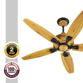 Pakhtun Penta 5 BLDC Inverter Ceiling Fan